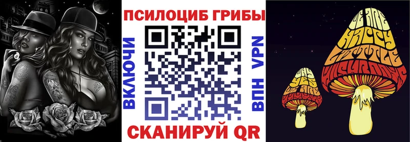 Псилоцибиновые грибы GOLDEN TEACHER Кинешма