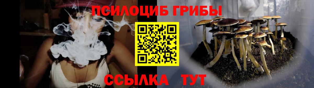 Псилоцибиновые грибы MAGIC MUSHROOMS Кинешма